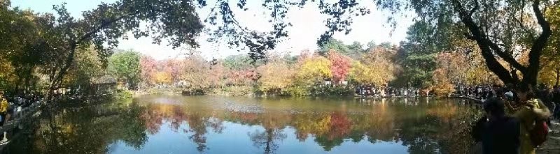 世谱检测勇攀登，天平山顶枫叶红