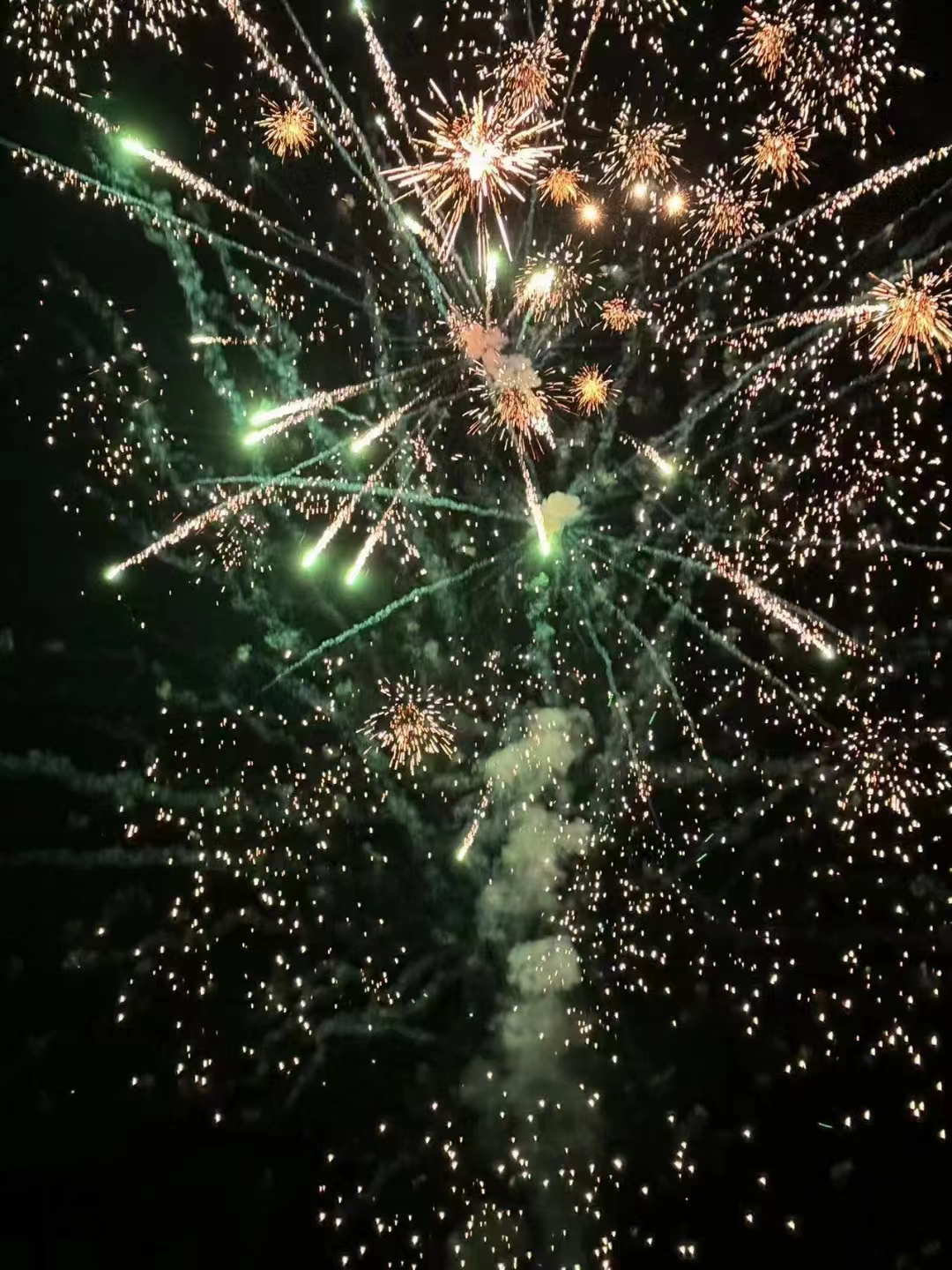 苏州世谱检测技术有限公司恭祝大家新年快乐！